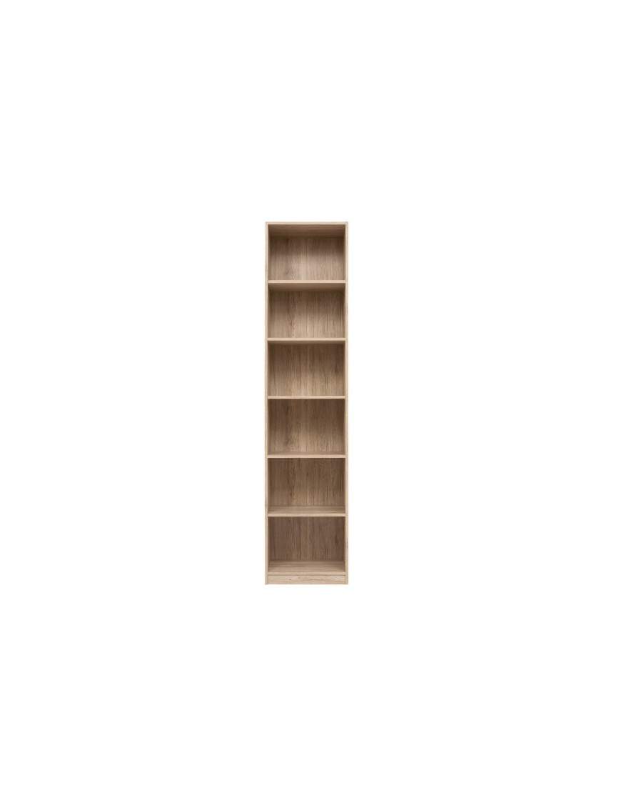 Executive bookcase REG 22 5