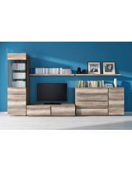 Anticca TV unit RTV2S