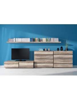 Anticca TV unit RTV2S