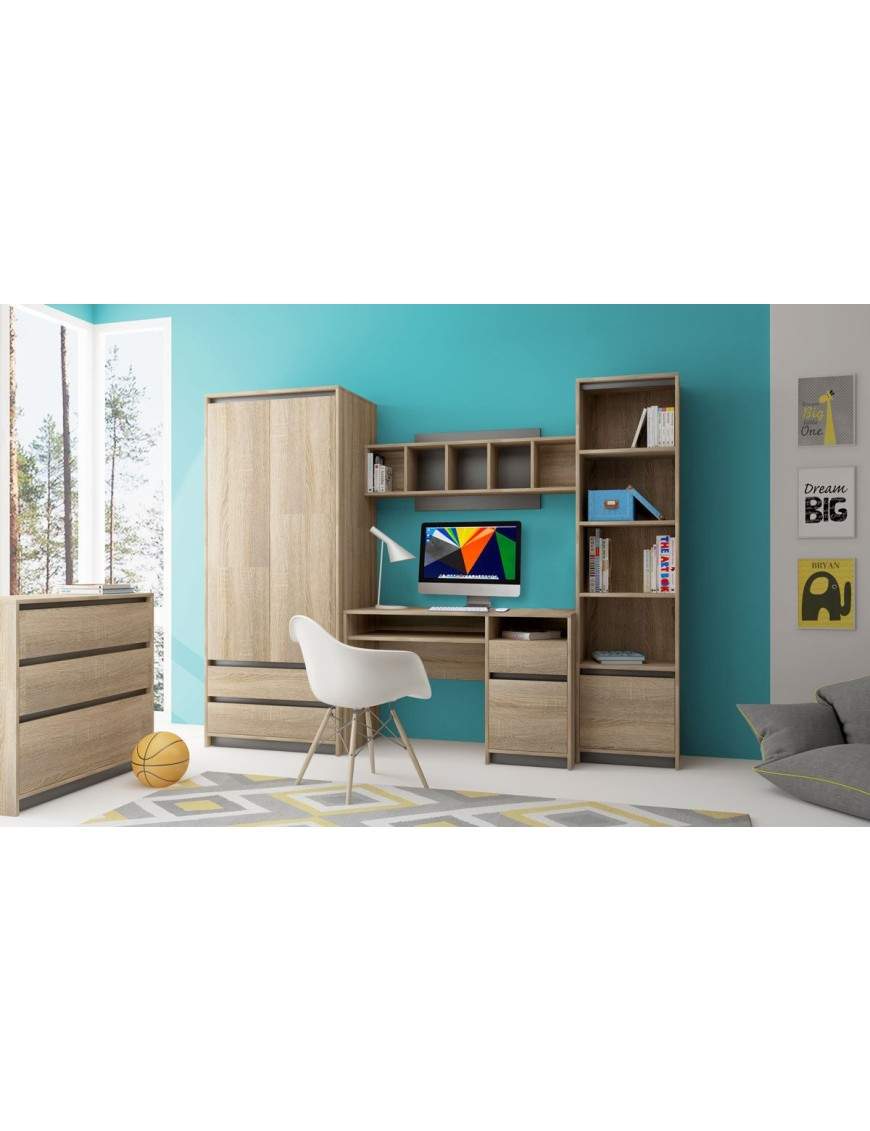 Wall unit Madagascar I