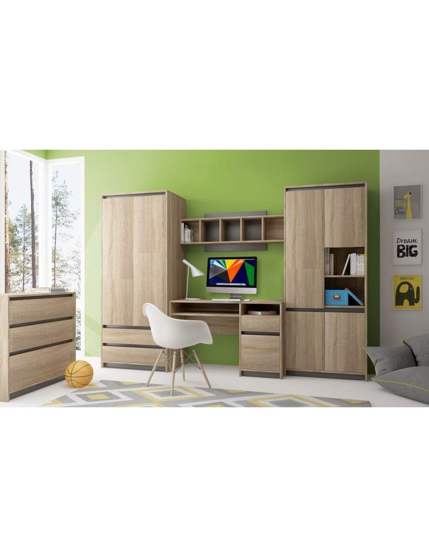 Madagascar wall unit 2