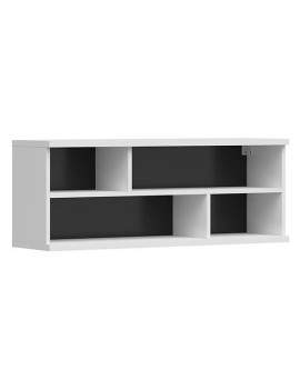 Assen hanging cabinet SFW/4/10