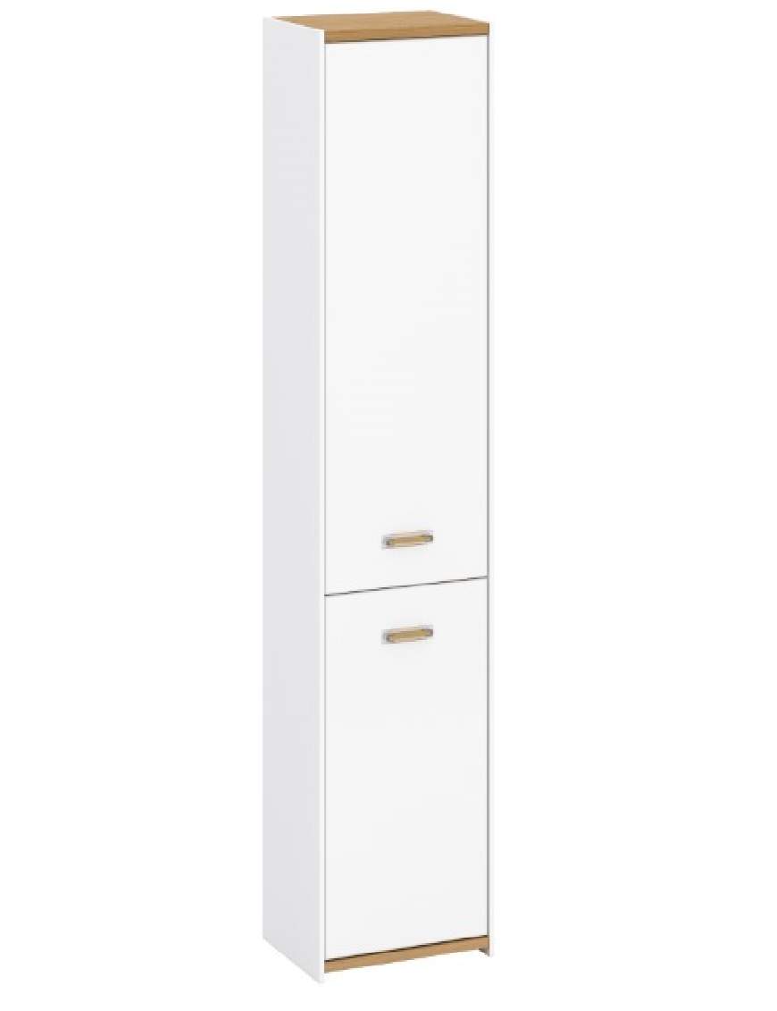 Adam bookcase 2D