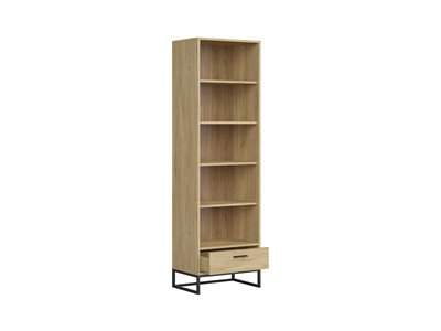 Ramla bookcase REG1S